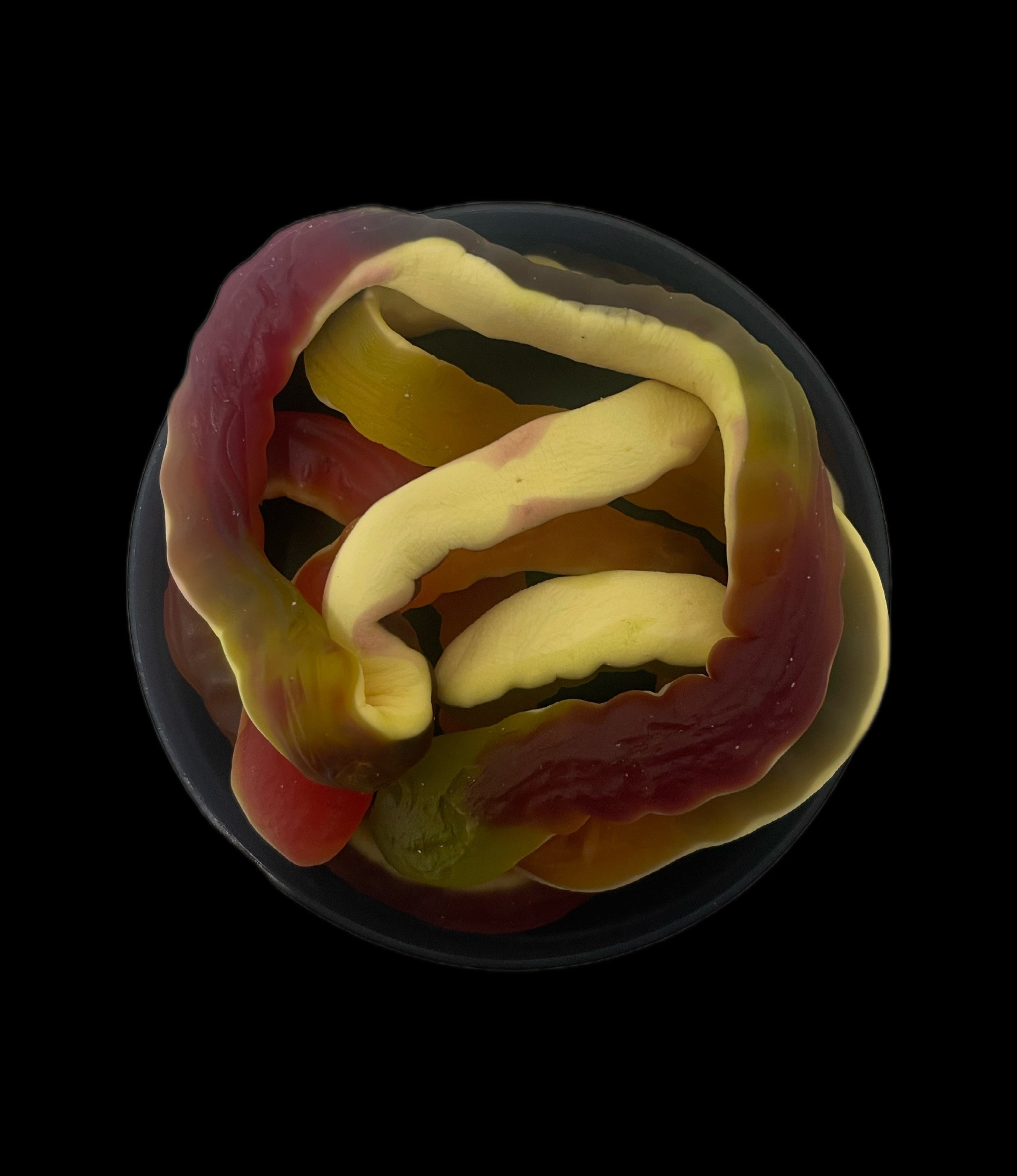 Haribo yellow belly snakes (2 snakes )